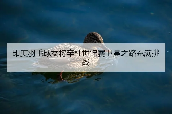 印度羽毛球女将辛杜世锦赛卫冕之路充满挑战（Galaxy）